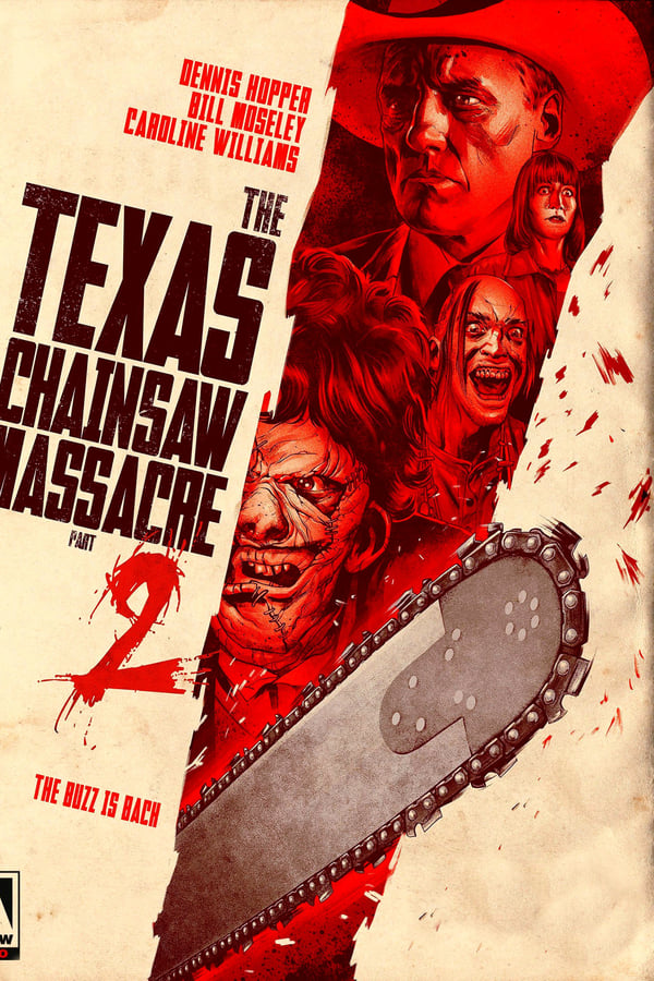 The Texas Chainsaw Massacre 2