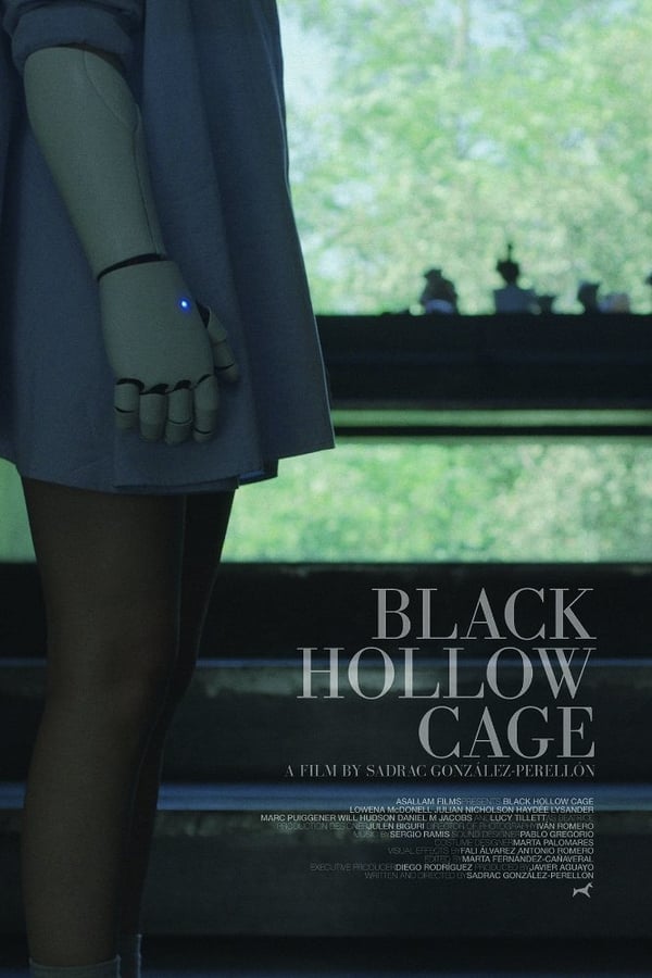 Black Hollow Cage