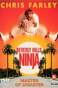 Beverly Hills Ninja