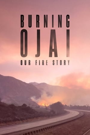 Burning Ojai: Our Fire Story