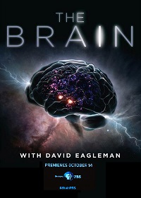 The Brain with David Eagleman