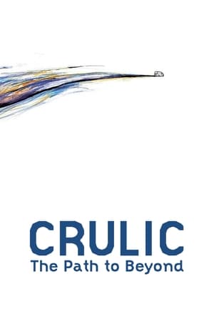 Crulic: The Path to Beyond