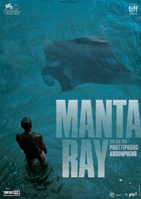 Manta Ray