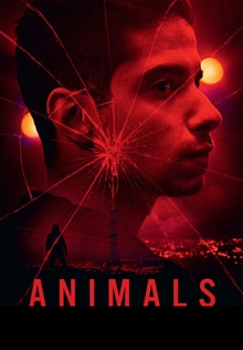 Animals