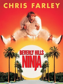 Beverly Hills Ninja