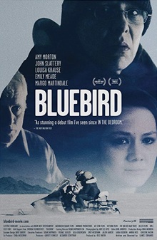 Bluebird