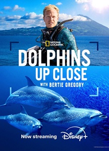 Dolphins Up Close with Bertie Gregory