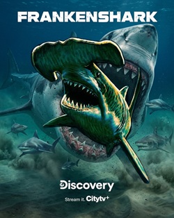 Frankenshark