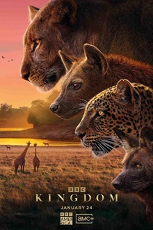 Kingdom