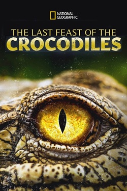 The Last Feast of the Crocodiles