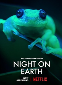 Night on Earth