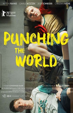Punching the World