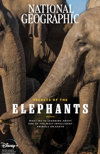 Secrets of the Elephants