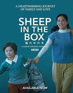 Sheep in the Box