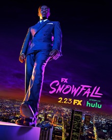Snowfall