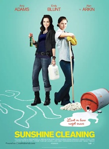 Sunshine Cleaning