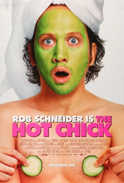 The Hot Chick