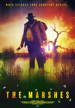 The Marshes