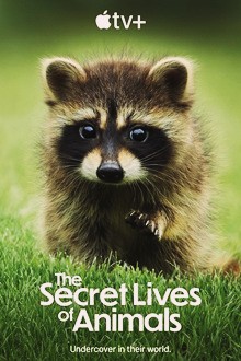 The Secret Lives of Animals