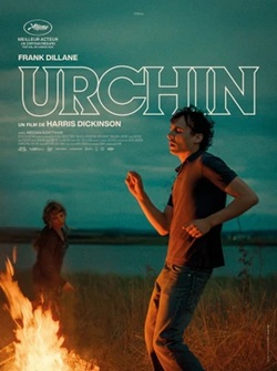 Urchin