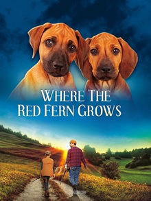Where the Red Fern Grows