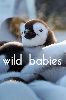 Wild Babies