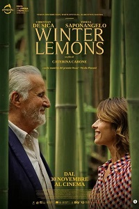 Winter Lemons